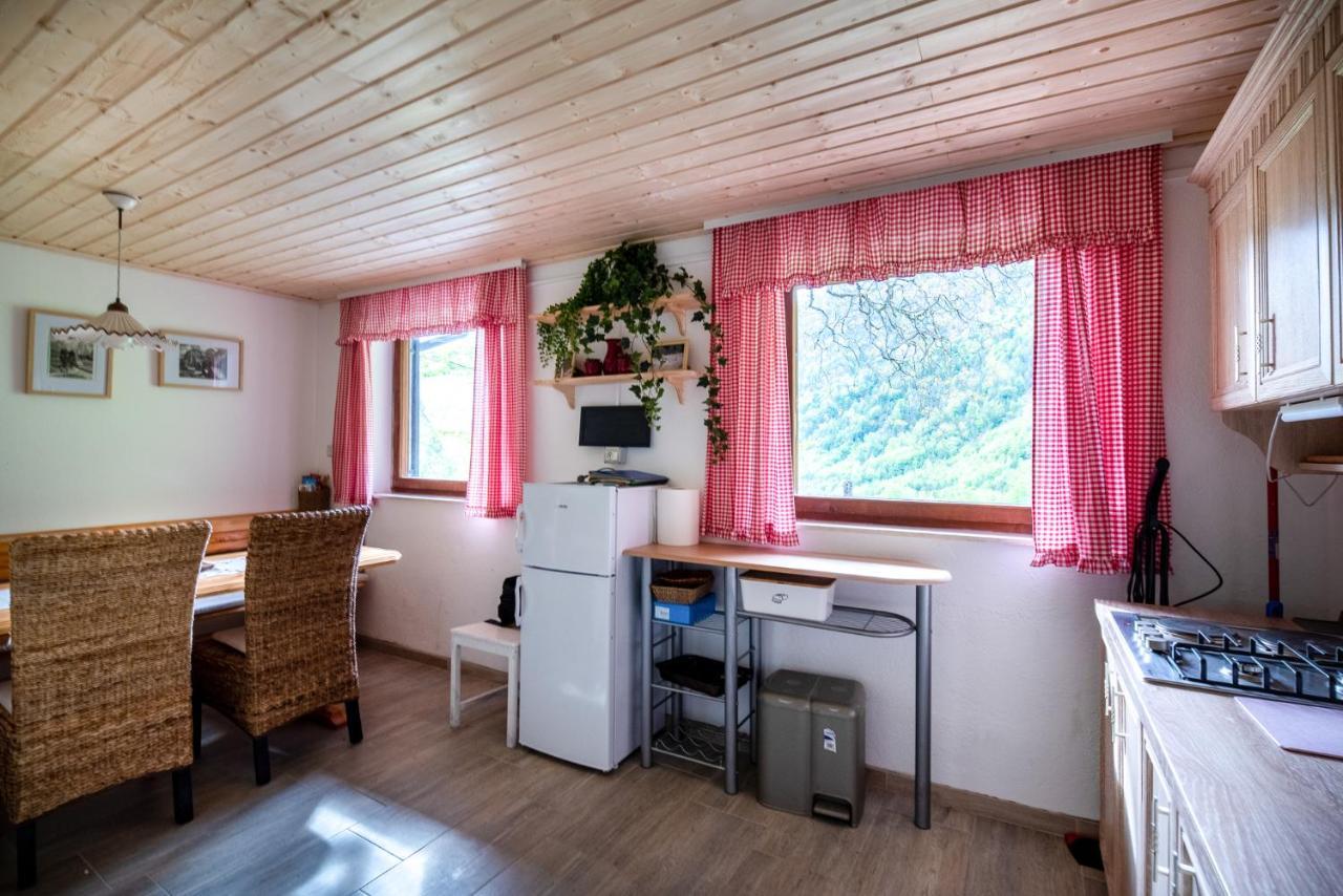 Vila Alpine House Antonia Trenta Exteriér fotografie