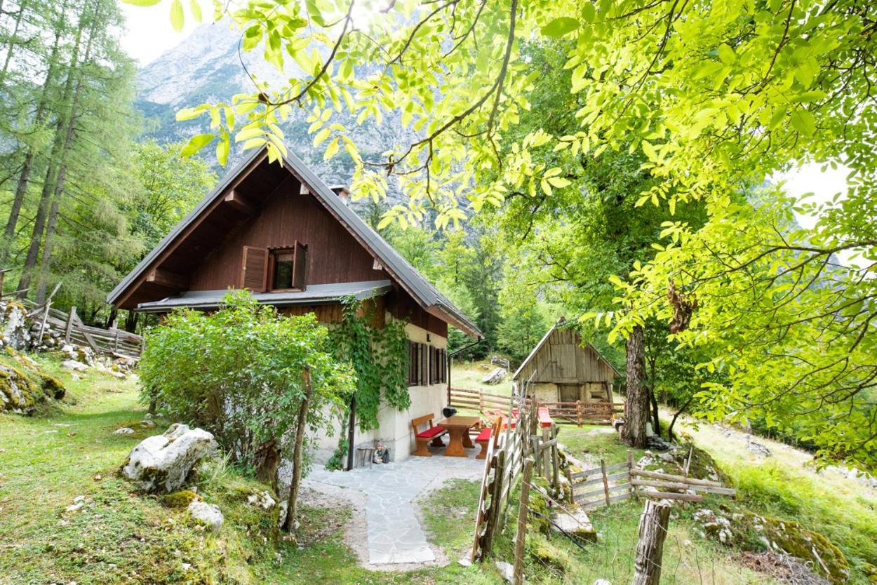 Vila Alpine House Antonia Trenta Exteriér fotografie