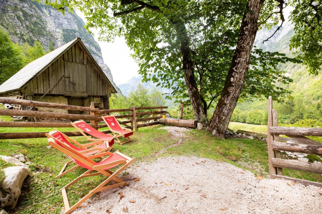 Vila Alpine House Antonia Trenta Exteriér fotografie