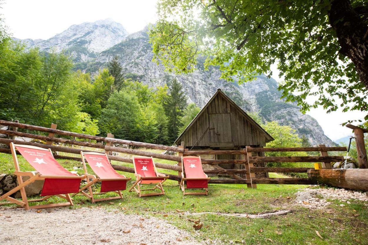 Vila Alpine House Antonia Trenta Exteriér fotografie